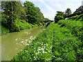 View east, Kennet and Avon Canal, Devizes