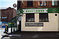 Sunflower Bar, Belfast