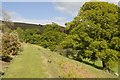 SJ1169 : Offa's Dyke path West of Aifft by Mark Anderson