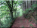 SN2413 : Llwybr y Parciau / Parciau Path by Alan Richards