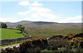 View towards the Howgills