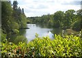 Stourton: Stourhead Gardens: Turner