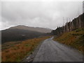 NN2427 : Forestry road in Glen Lochy by Iain Russell