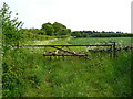 Field entrance and start of track off Hexton Road, Lilley