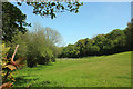 Meadow near Loddiswell station