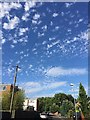 Forms of altocumulus seen over southeast Warwick