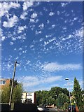 SP2965 : Forms of altocumulus seen over southeast Warwick by Robin Stott