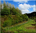 Path on a bank of Nant Tyswg, Abertysswg