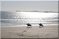 SM8421 : Horseriders on Newgale Sands by Philip Halling