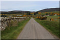 The Road to Achrimsdale and East Clyne