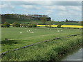 SP6595 : Mixed farming north of Wistow Grange farm by Christine Johnstone