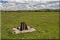 SX5168 : RAF Harrowbeer: a tour of a WW2 airfield - signals mortar (11) by Mike Searle