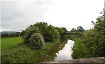 SJ8561 : Macclesfield Canal from Peel Lane Bridge by Anthony Parkes