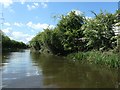 Grand Union Canal [Leicester section] at Glen Parva