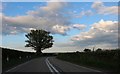 Bend on the A44 past Lyonshall