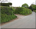 Hedge-lined entrance to Hilltop Farm, Llangrove Road, Trewen, Herefordshire