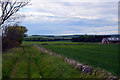 Farmland by Bowhouse, St Monans