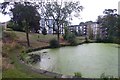 Pond in Endcliffe