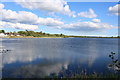 Castle Loch, Lochmaben