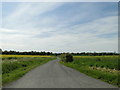 Carbrooke Road from near Bush Farm