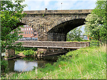 SD7910 : River Irwell, Stone Footbridge and Daisyfield Viaduct by David Dixon