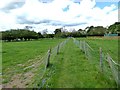 Teesdale Way