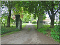 TL9898 : Entrance gates and drive to Rockland Manor by Adrian S Pye