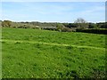 View to the Cleddau West