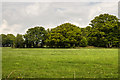 RAF Dunkeswell: a tour of a WW2 airfield - Airfield Battle HQ (11)