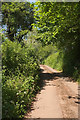 SX7957 : Lane from Luscombe by Derek Harper