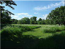 SU1329 : Middle Street Meadow, West Harnham by Colin Cheesman