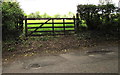 Wooden gate on the north side of Llangrove Road, Trewen, Herefordshire