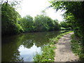 The Grand Union Canal near South Harefield