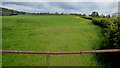 Upper Trewen field, Herefordshire