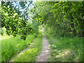 Pingo trail from car park