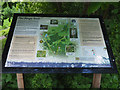 Pingo Trail map and information