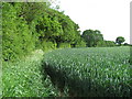 Arable Land near Wiggin