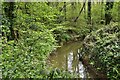 Highstreet Green: River passing under White Beech Lane