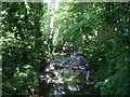 The Bradley Brook upstream