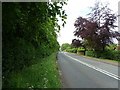 SJ3861 : Wrexham Road (B5445) by JThomas
