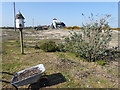 A typical scene at Dungeness