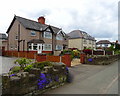 Houses on Chester Road, Gresford