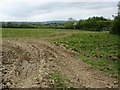 Farmland near New House