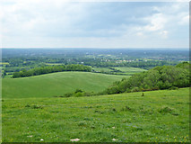TQ2913 : View towards Hassocks from South Downs by Robin Webster