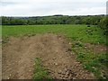 Field near New House