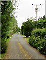 Line spur pole, Featherbed Lane, Oldbury-on-Severn 