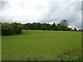 Grazing and woodland off Gresford Road