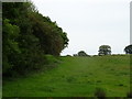 Grazing off Gresford Road (B5373)