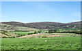 Fenced land at Nether Bellandy