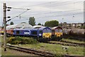 Class 66 locomotives at Bescot depot